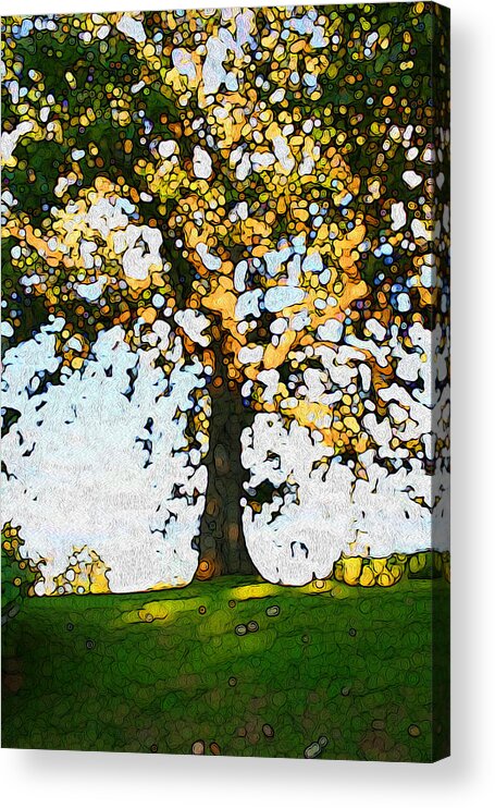 Oak Acrylic Print featuring the digital art Oak tree 1 by Geoff Strehlow
