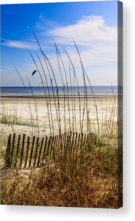 Atlantic Acrylic Print featuring the photograph Ocean Dunes by Debra and Dave Vanderlaan