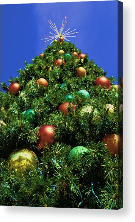 Christmas Acrylic Print featuring the photograph Oh Christmas Tree by Kathy Churchman