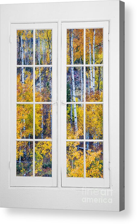 Autumns Acrylic Print featuring the photograph Old 16 Pane White Window Colorful Fall Aspen View by James BO Insogna