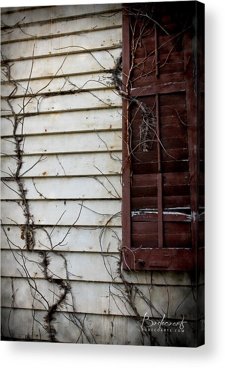 Dilapidated Acrylic Print featuring the photograph Old House Red Shutter 4 by Robin Lewis