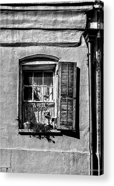 Shutter Acrylic Print featuring the photograph Old One Shutter - BW by Christopher Holmes