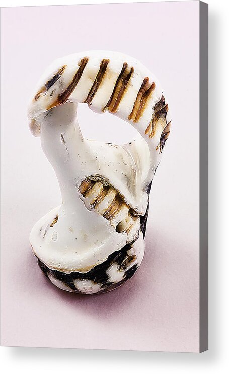 Seashell Acrylic Print featuring the photograph One of a kind 01 by Kevin Chippindall