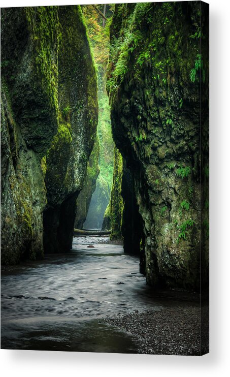 Columbia River Gorge Acrylic Print featuring the photograph Oneonta Gorge by Brian Bonham