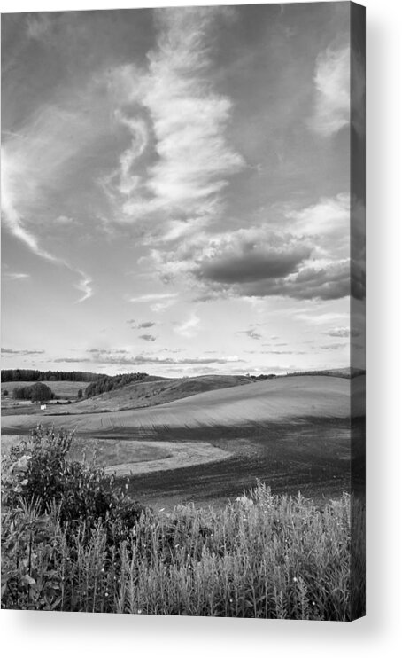 Landscape Acrylic Print featuring the photograph Ontario Interlude monochrome by Steve Harrington