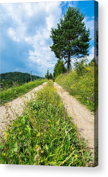 Road Acrylic Print featuring the photograph Overgrown Rural Path Up a Hill by Andreas Berthold