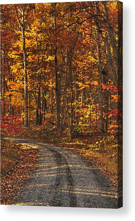 Autumn Acrylic Print featuring the photograph Painted Autumn Country Roads by Lara Ellis