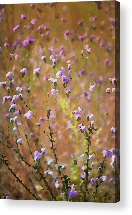 Photo Art Print Acrylic Print featuring the photograph Painted Wildflowers by Bonnie Bruno