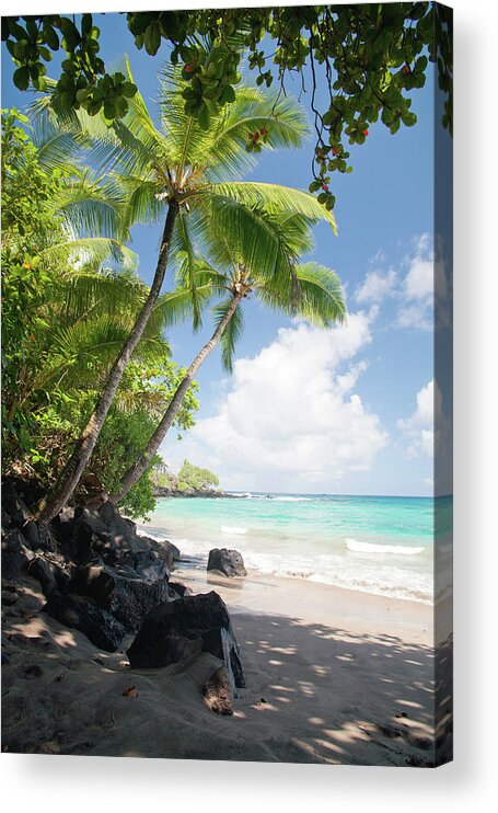 Tranquility Acrylic Print featuring the photograph Palm Tree Beach by M Sweet