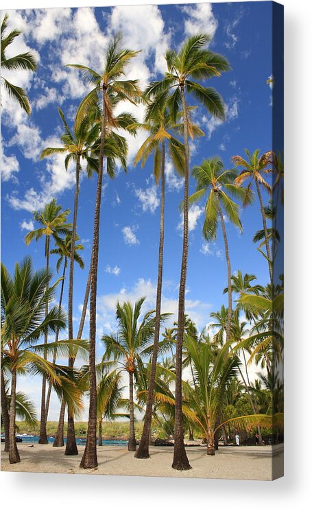 Palm Trees Acrylic Print featuring the photograph Palm Trees at Pu'uhonua o Honaunau NHP by Scott Rackers