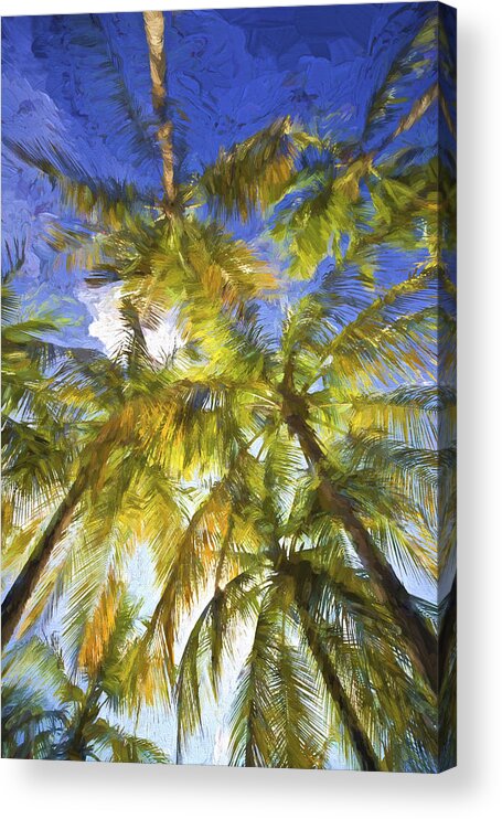 Abstract Acrylic Print featuring the painting Palm Trees of Aruba by David Letts