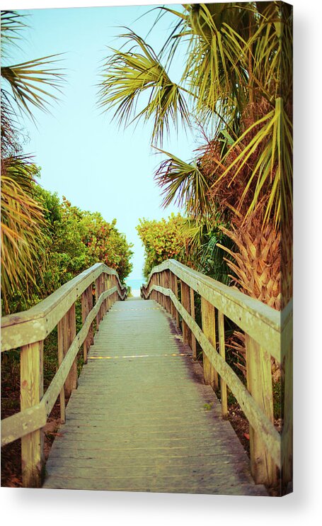 Palm Acrylic Print featuring the photograph Palm Walkway I by Susan Bryant