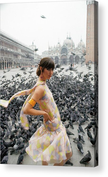 Pigeon Acrylic Print featuring the photograph Pamela Barkentin In The Piazza San Marco by George Barkentin