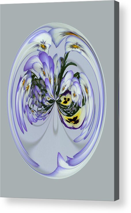 Flowers Acrylic Print featuring the photograph Pansy Series 501 by Jim Baker