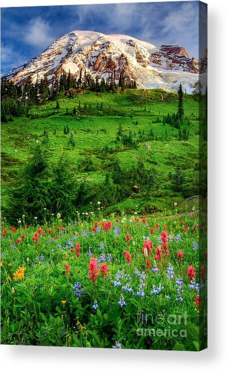America Acrylic Print featuring the photograph Paradise by Inge Johnsson