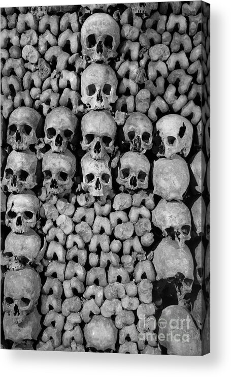 Bone Acrylic Print featuring the photograph Paris Catacombs by Inge Johnsson