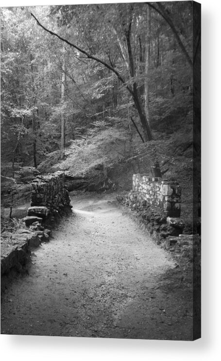 Kelly Hazel Acrylic Print featuring the photograph Path in Black and White by Kelly Hazel