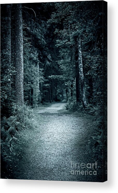 Path Acrylic Print featuring the photograph Path in night forest by Elena Elisseeva