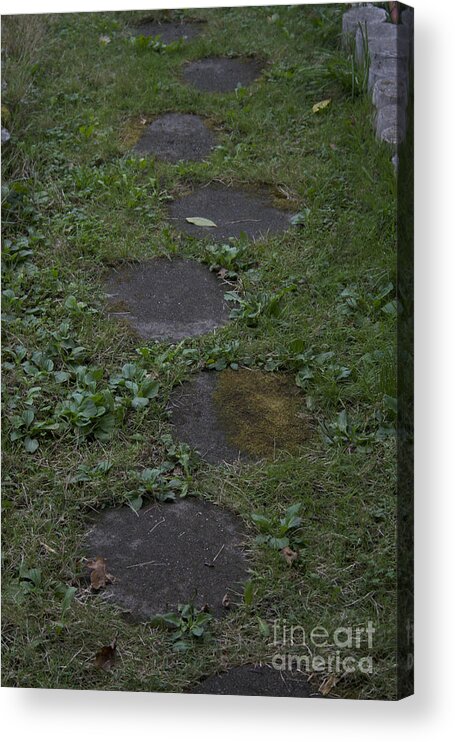 Path Acrylic Print featuring the photograph Pathway by Brad Graves