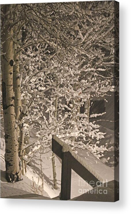 Snow Acrylic Print featuring the photograph Peaceful Blizzard by Fiona Kennard