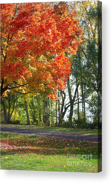 Peoria Acrylic Print featuring the photograph Peoria Riverfront Park in Autumn Two by Veronica Batterson