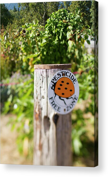 Agriculture Acrylic Print featuring the photograph Pesticide Free Zone Sign by Justin Bailie