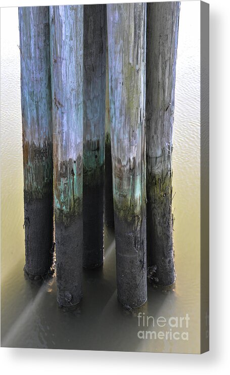 Pilings Acrylic Print featuring the photograph Salt Water Piling by Dale Powell