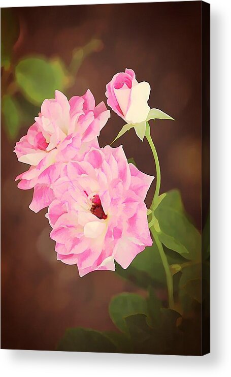 Rose Acrylic Print featuring the photograph Pink Iceberg by Jean Connor