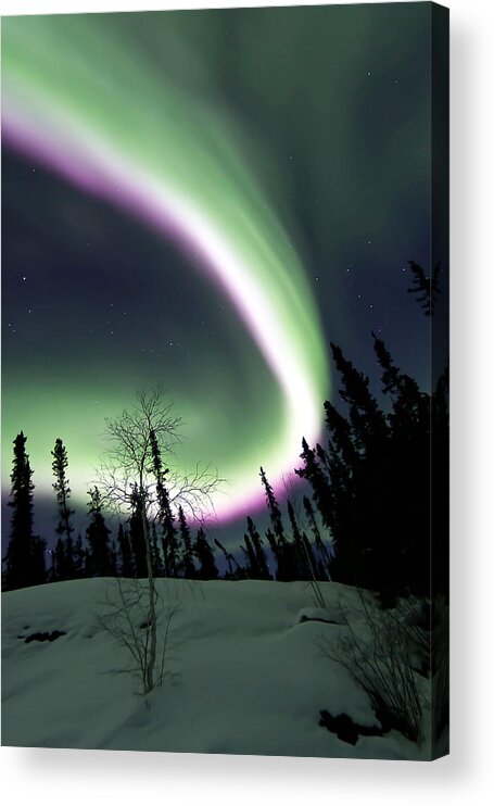 Aurora Borealis Acrylic Print featuring the photograph Pink Nights by Valerie Pond