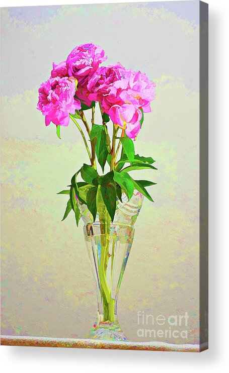 Peony Acrylic Print featuring the photograph Pink Peony flowers by Linda Matlow