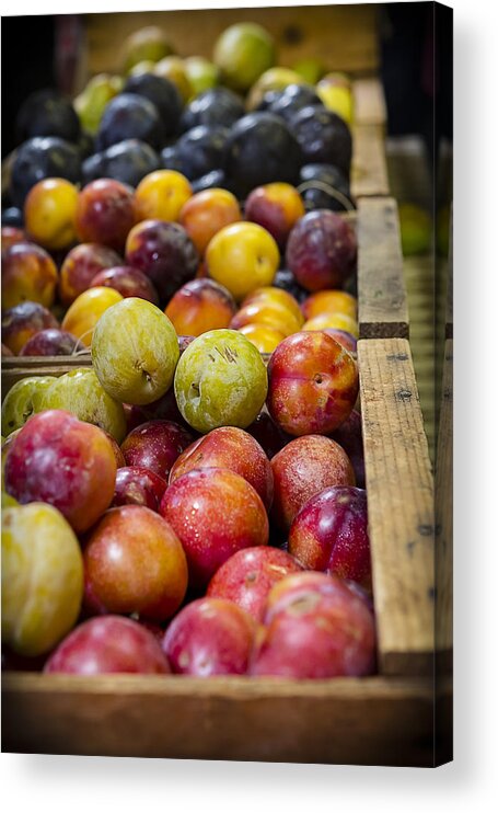 Plums Acrylic Print featuring the photograph Plum Gorgeous by Caitlyn Grasso