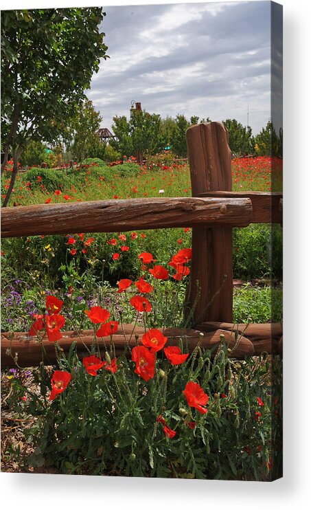 Wildflowers Acrylic Print featuring the photograph Poppies at the Farm by Lynn Bauer