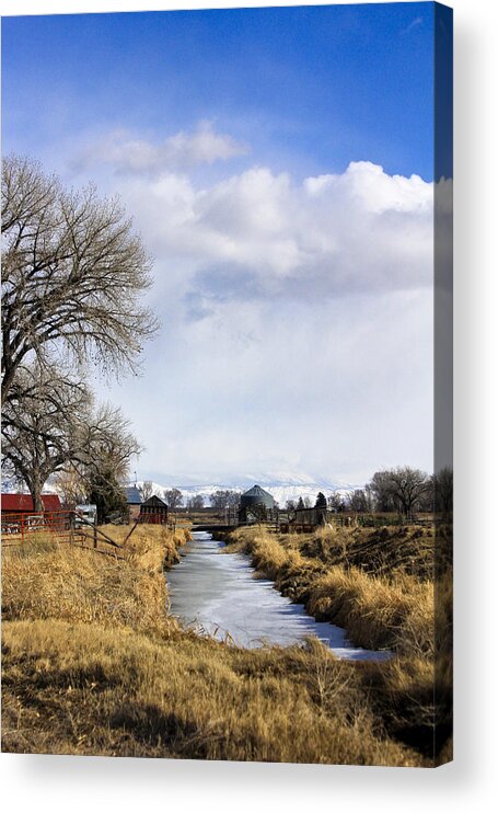 Olathe Acrylic Print featuring the photograph Portrait of Rural Colorado by Marta Alfred