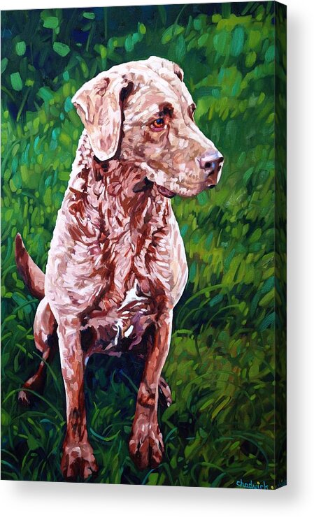 Chesapeake Acrylic Print featuring the painting Pretty Girl by Phil Chadwick