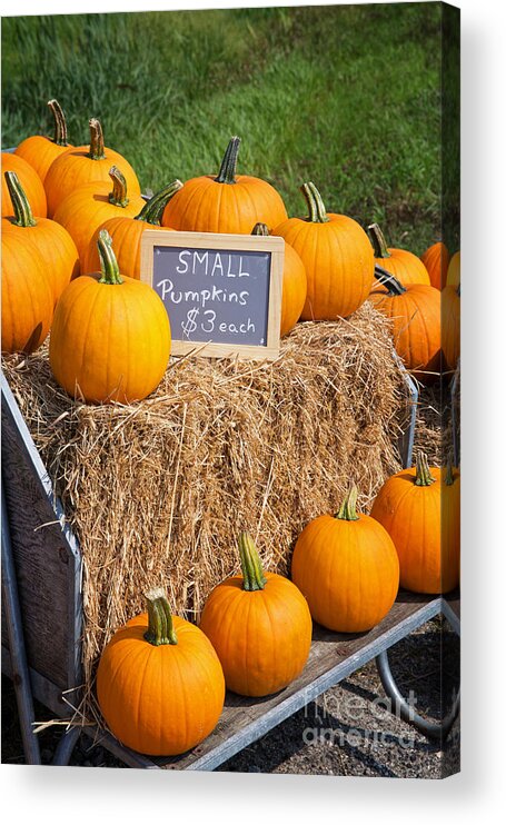 Pumpkin Acrylic Print featuring the photograph Pumpkins for sale by Jane Rix