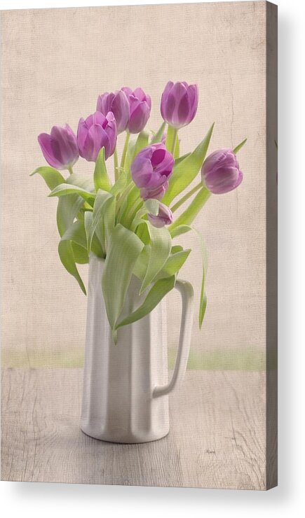 Tulip Acrylic Print featuring the photograph Purple Spring Tulips by Kim Hojnacki