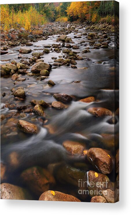 West Virginia Acrylic Print featuring the photograph Red Creek D30018667 by Kevin Funk