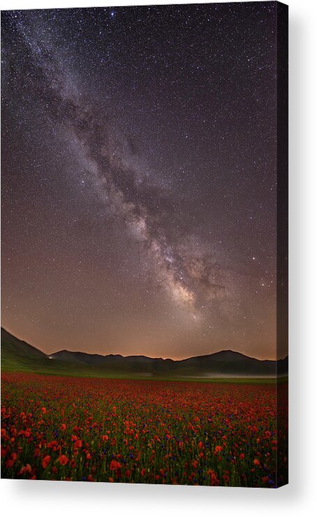 Field Acrylic Print featuring the photograph Red Meadows by Roberto Marchegiani
