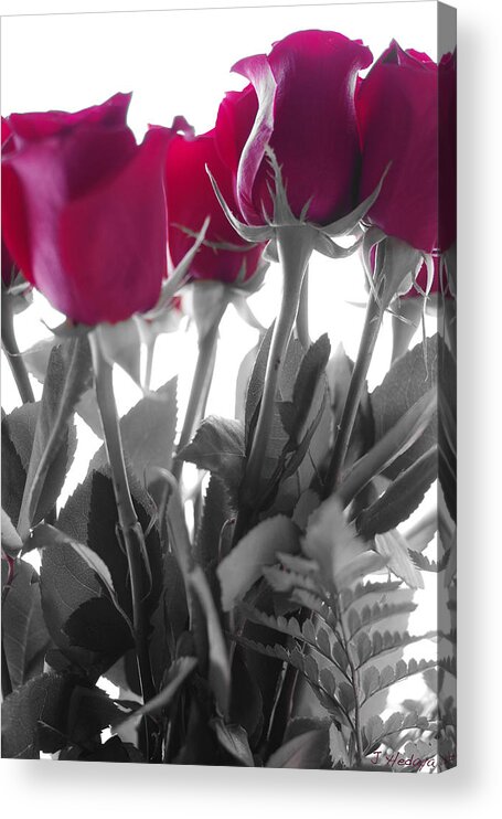 Flowers Acrylic Print featuring the photograph Red Rose Color Block by Joseph Hedaya