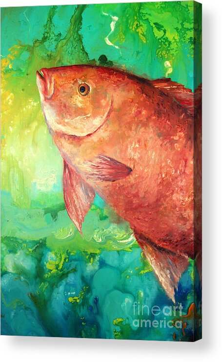 Red Snapper Painting Acrylic Print featuring the painting Red Snapper by Gabriela Valencia