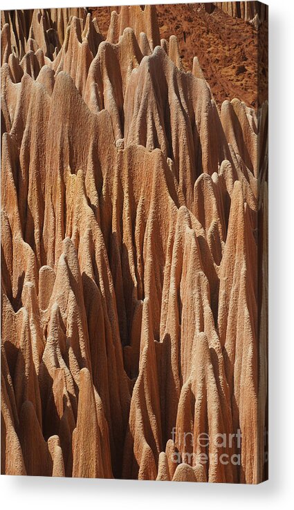 Prott Acrylic Print featuring the photograph red Tsingy Madagascar 5 by Rudi Prott