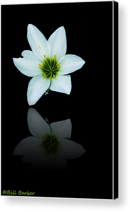 Floral Acrylic Print featuring the photograph Reflected Iris by Bill Barber