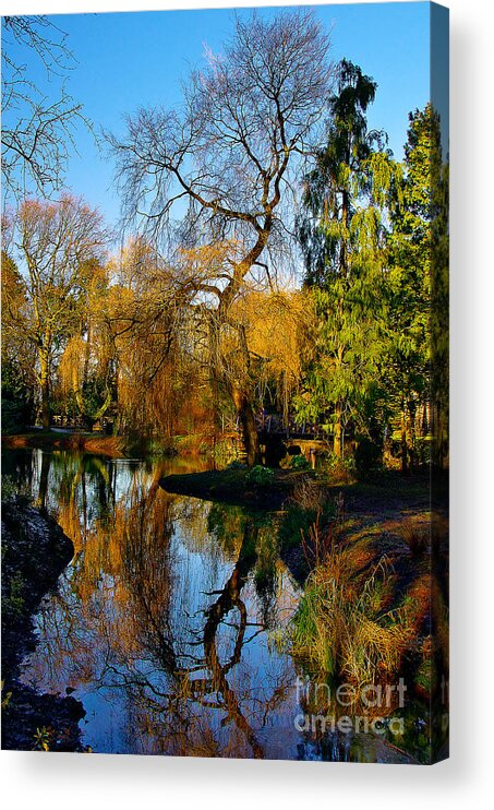 Reflections Acrylic Print featuring the photograph Reflections on the Lake by Martyn Arnold