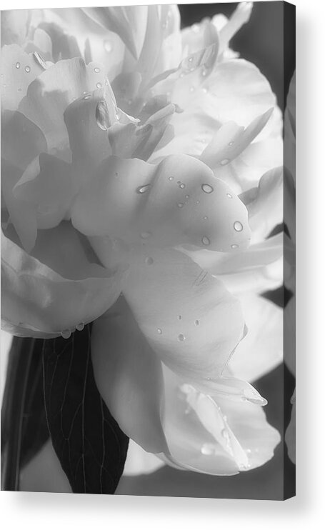 Black And White Acrylic Print featuring the photograph Ridges by Linda Dunn