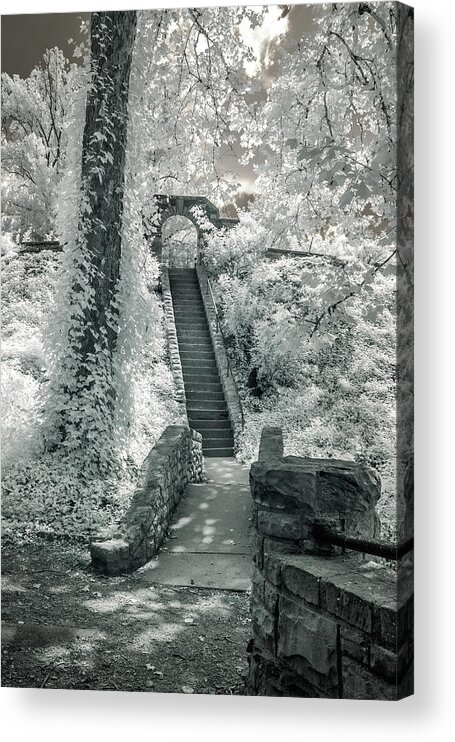 Ritter Park Acrylic Print featuring the photograph Ritter Park by Mary Almond