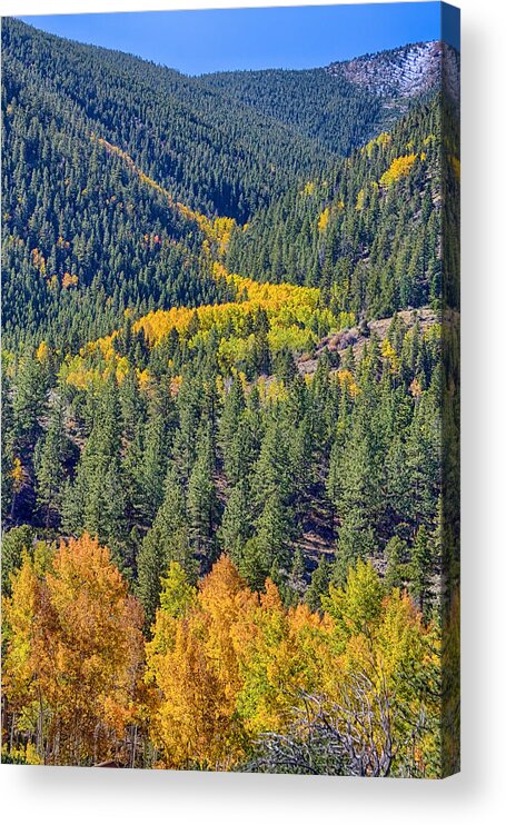 Autumn Acrylic Print featuring the photograph River Of Gold by James BO Insogna