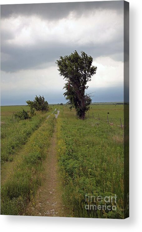 Flint Hills Acrylic Print featuring the photograph Road Less Traveled by Betty Morgan
