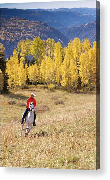 San Juan Mountains Acrylic Print featuring the photograph Rocky Mountain Cowboy by Amygdala imagery