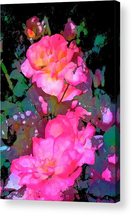 Floral Acrylic Print featuring the photograph Rose 193 by Pamela Cooper