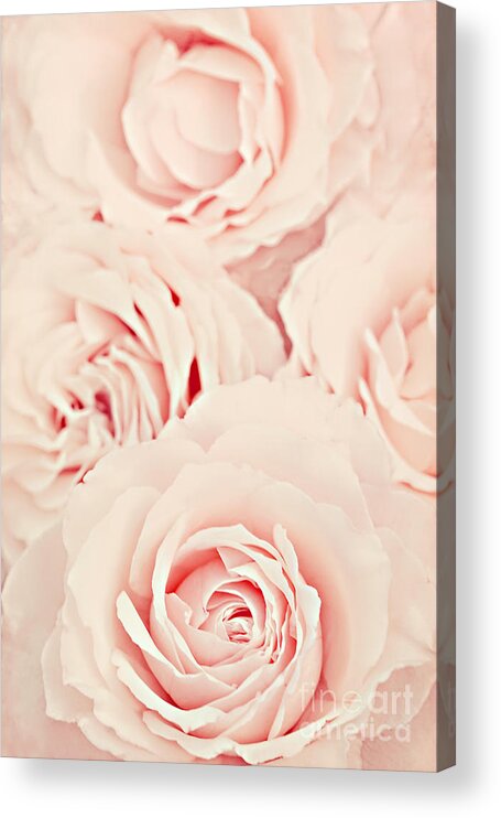 Roses Acrylic Print featuring the photograph Roses by Diana Kraleva